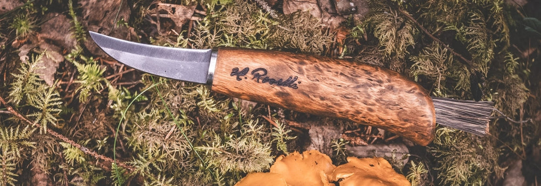 Mushroom foraging guide